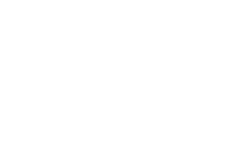 Logo Flo Chauffeur Clermont, chauffeur privé VTC Clermont-Ferrand